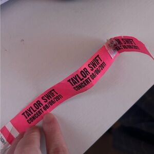 Taylor Swift Concert Wristband
